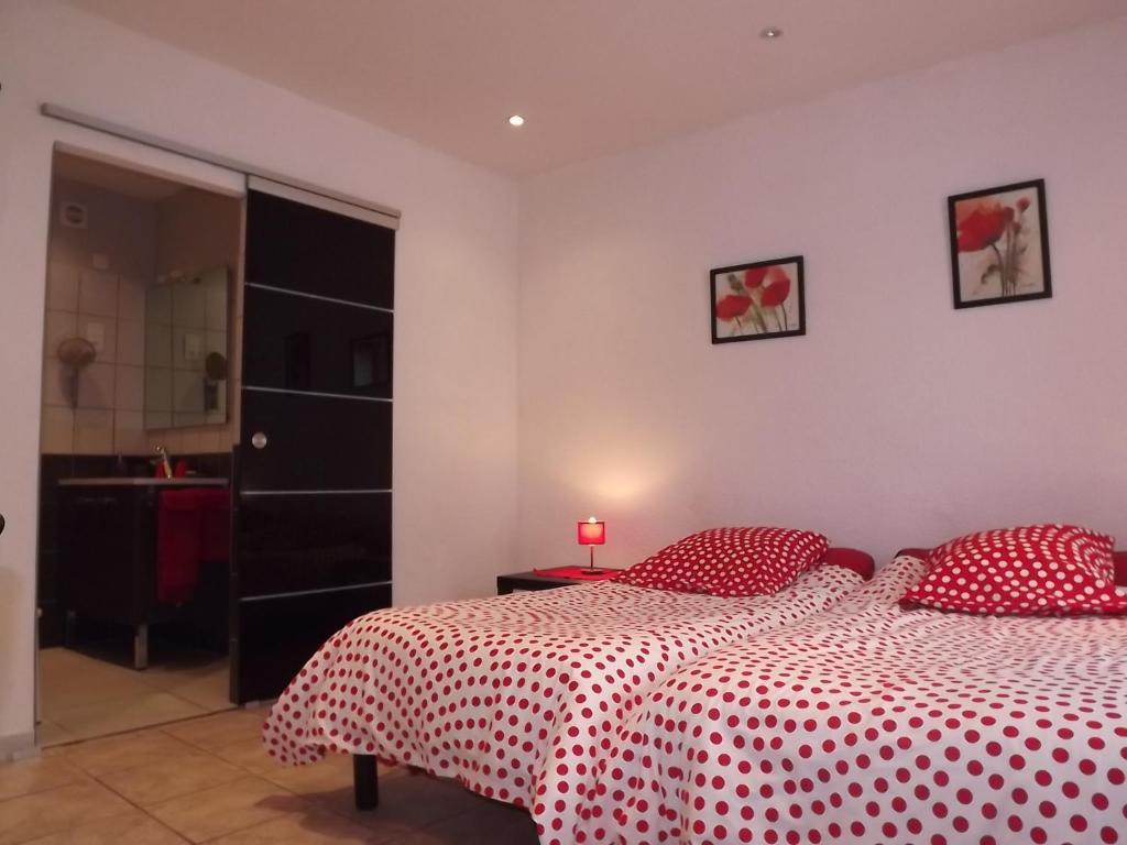 Chambres D'Hotes- Le Pre Aux Anes Albon Room photo