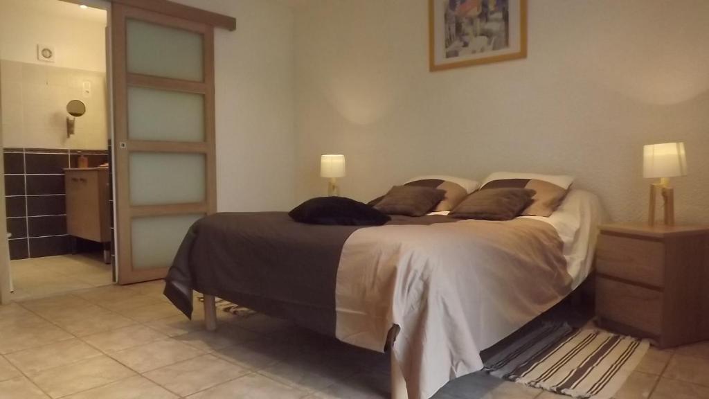 Chambres D'Hotes- Le Pre Aux Anes Albon Room photo